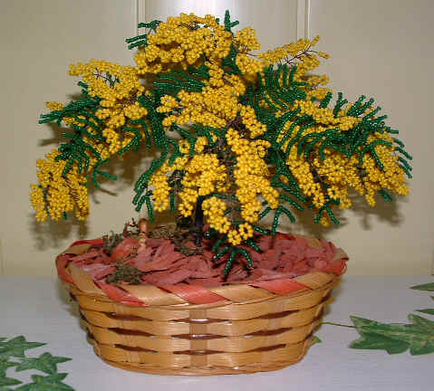 Cliquez pour entrer dans la galerie des perles